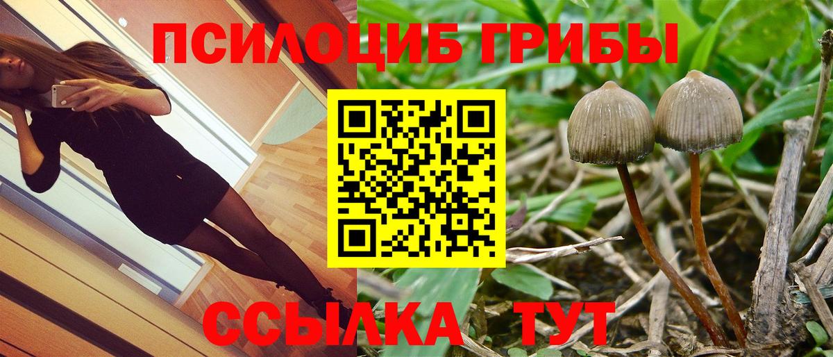 Псилоцибиновые грибы прущие грибы  Вход с VPN  купить   Новосибирск  Галлюциногенные грибы Cubensis 