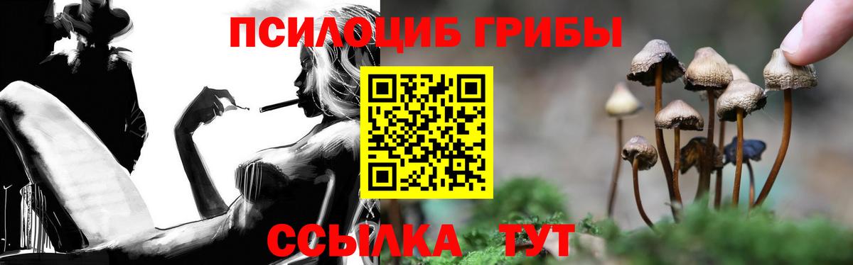 Галлюциногенные грибы прущие грибы Новосибирск