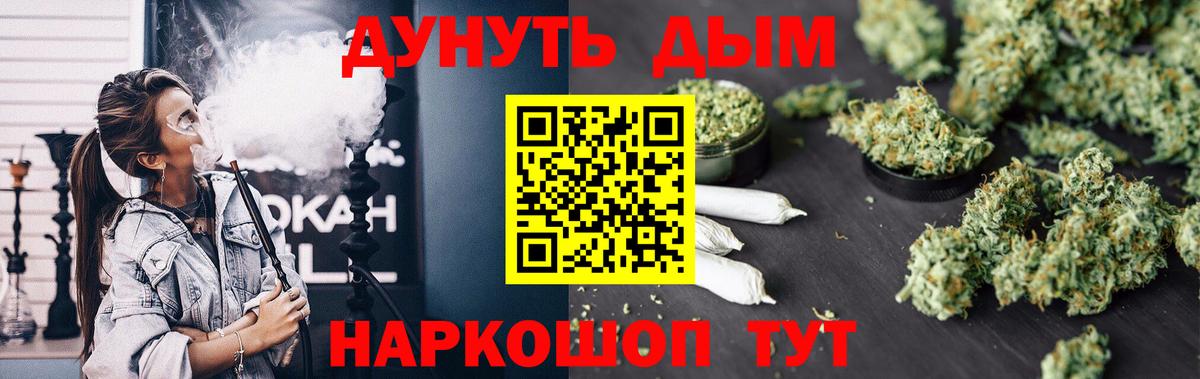 Каннабис сатива Новосибирск